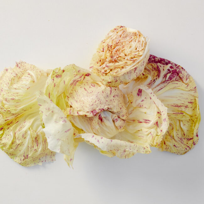 Solera & Co. Castelfranco Radicchio