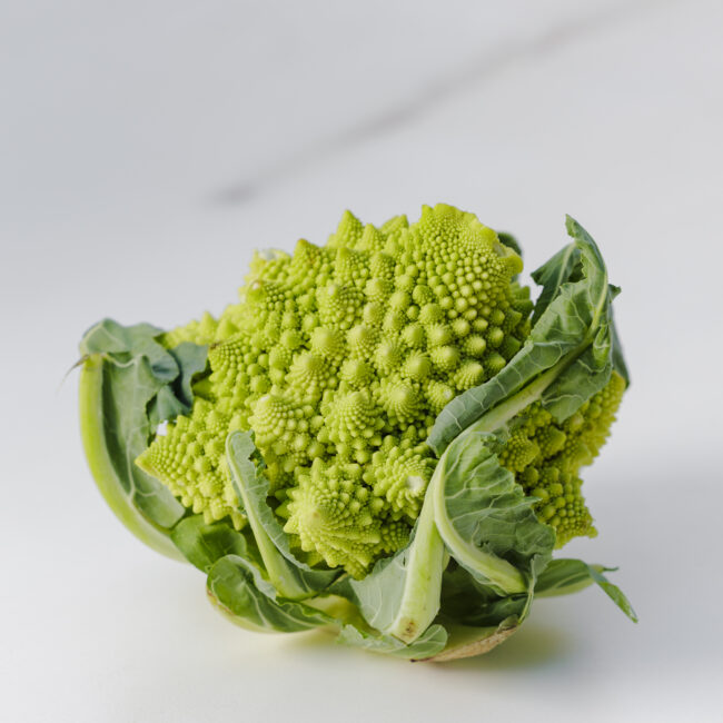Solera & Co. IRomanesco